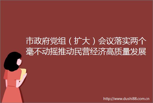 市党组（扩大）会议落实两个毫不动摇推动民营经济高质量发展