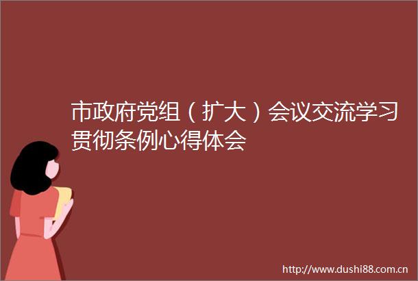 市党组（扩大）会议交流学习贯彻条例心得体会