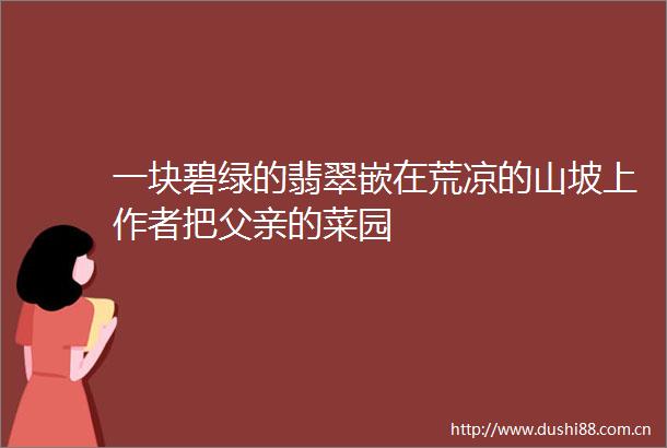 一块碧绿的翡翠嵌在荒凉的山坡上作者把父亲的菜园