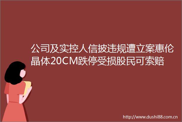 公司及实控人信披遭惠伦晶体20CM跌停受损股民可索赔