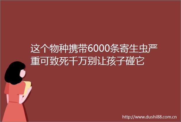 这个物种携带6000条寄生虫严重可致死千万别让孩子碰它