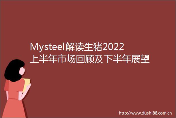 Mysteel解读生猪2022上半年市场回顾及下半年展望