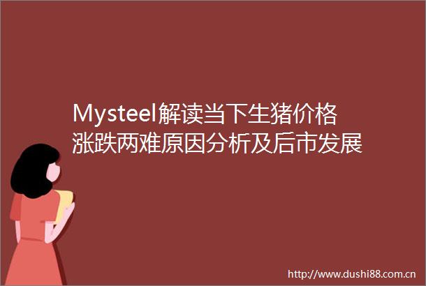 Mysteel解读当下生猪价格涨跌两难原因分析及后市发展
