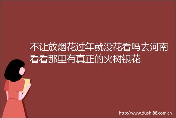 不让放烟花过年就没花看吗去河南看看那里有真正的火树银花