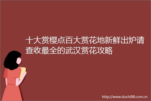 十大赏樱点百大赏花地新鲜出炉请查收最全的武汉赏花攻略