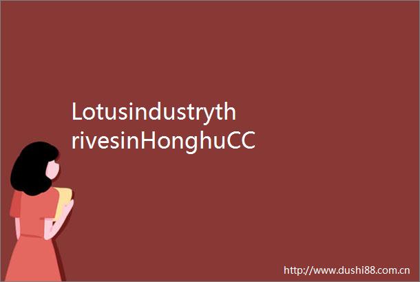 LotusindustrythrivesinHonghuCChinasHubei