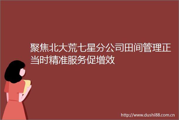 聚焦北大荒七星分公司田间管理正当时精准服务促增效