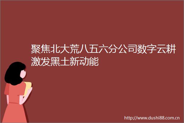 聚焦北大荒八五六分公司数字云耕激发黑土新动能