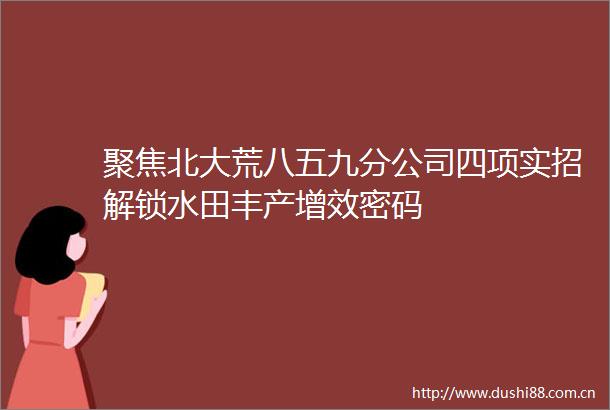 聚焦北大荒八五九分公司四项实招解锁水田丰产增效密码