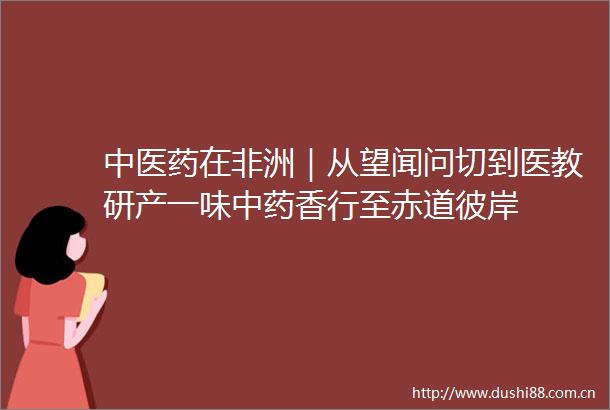 中医药在非洲｜从望闻问切到医教研产一味中药香行至赤道彼岸