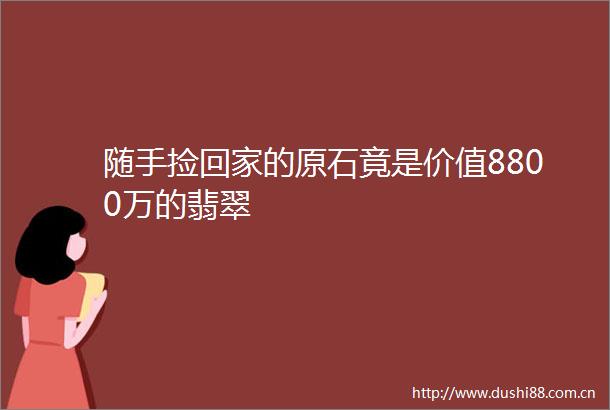 随手捡回家的原石竟是价值8800万的翡翠