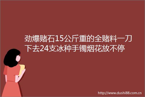 劲爆赌石15公斤重的全赌料一刀下去24支冰种手镯烟花放不停