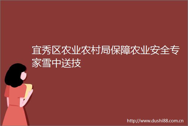 宜秀区农业农村局保障农业安全专家雪中送技
