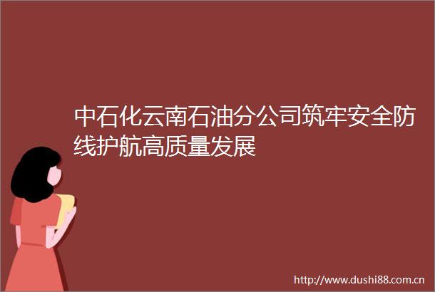 中石化云南石油分公司筑牢安全防线护航高质量发展