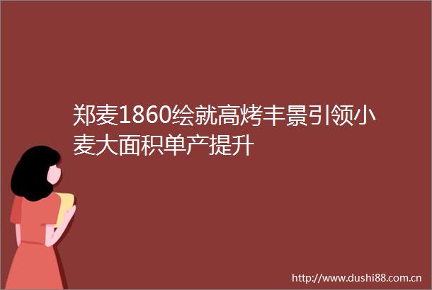 郑麦1860绘就高烤丰景引领小麦大面积单产提升
