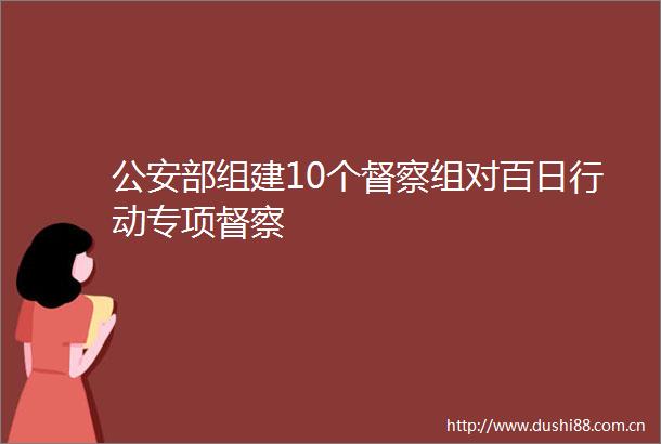 部组建10个督察组对百日行动专项督察