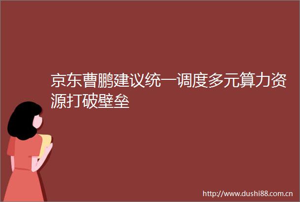 京东曹鹏建议统一调度多元算力资源打破壁垒