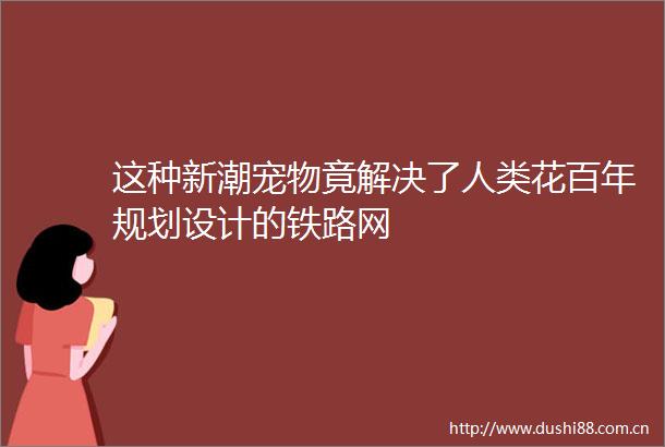 这种新潮宠物竟解决了人类花百年规划设计的铁路网