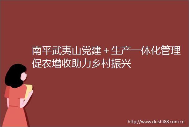 南平武夷山党建＋生产一体化管理促农增收助力乡村振兴