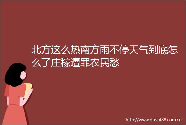 北方这么热南方雨不停天气到底怎么了庄稼遭罪农民愁