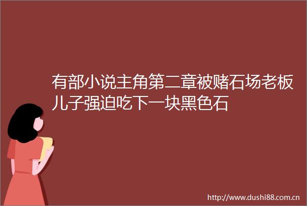 有部小说主角第二章被赌石场老板儿子强迫吃下一块黑色石