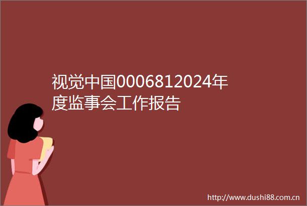 视觉0006812024年度监事会工作报告