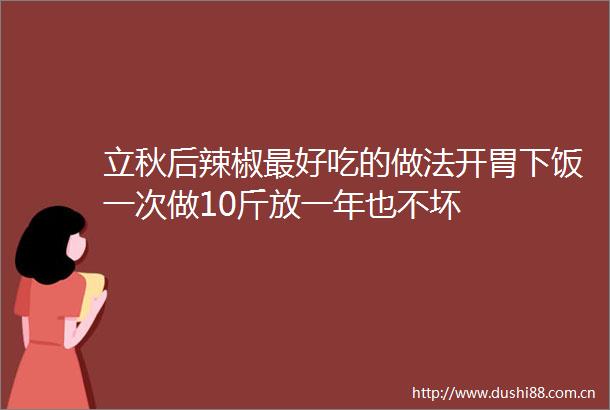 立秋后辣椒最好吃的做法开胃下饭一次做10斤放一年也不坏