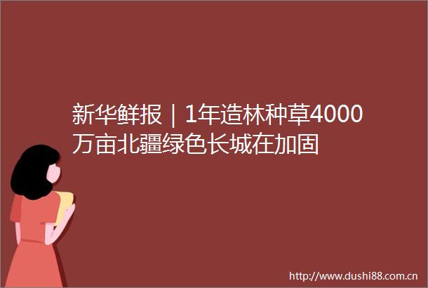 新华鲜报｜1年造林种草4000万亩北疆绿色长城在加固