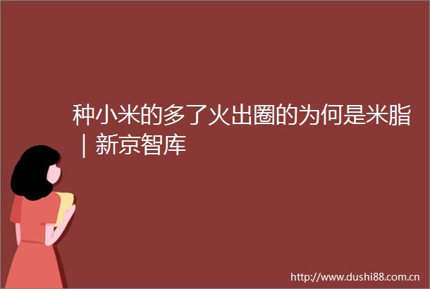 种小米的多了火出圈的为何是米脂｜新京智库