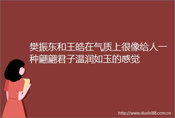 樊振东和王皓在气质上很像给人一种翩翩君子温润如玉的感觉