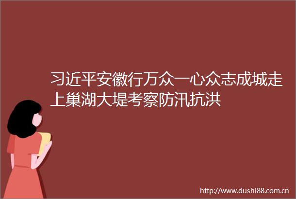安徽行万众一心众志成城走上巢湖大堤考察防汛抗洪