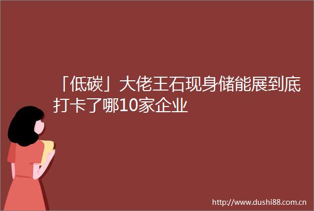 「低碳」大佬王石现身储能展到底打卡了哪10家企业