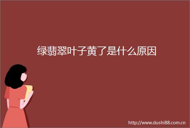 绿翡翠叶子黄了是什么原因