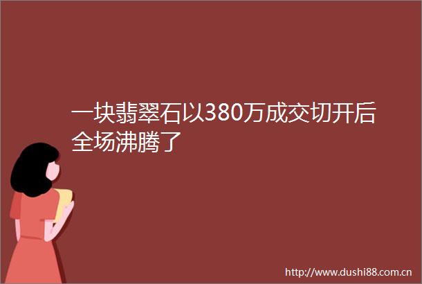 一块翡翠石以380万成交切开后全场沸腾了