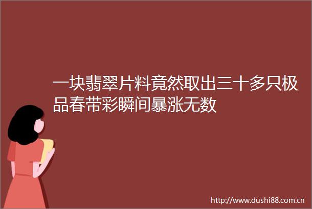 一块翡翠片料竟然取出三十多只极品春带彩瞬间暴涨无数