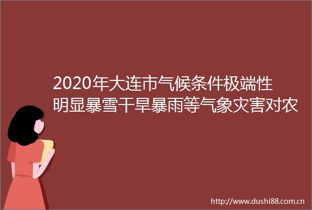2020年大连市气候条件极端性明显暴雪干旱暴雨等气象灾害对农业生产和城市运行造成影响
