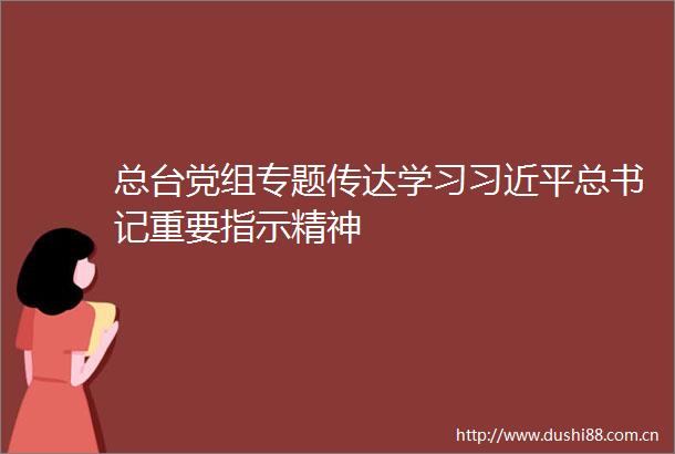 总台党组专题传达学习总书记重要指示精神
