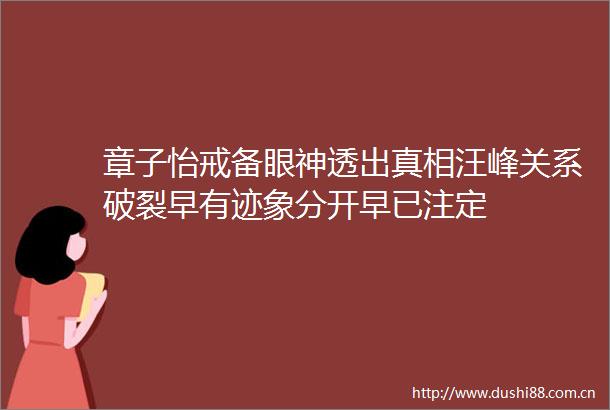章子怡戒备眼神透出真相汪峰关系破裂早有迹象分开早已注定
