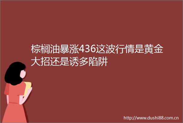棕榈油暴涨436这波行情是黄金大招还是诱多陷阱