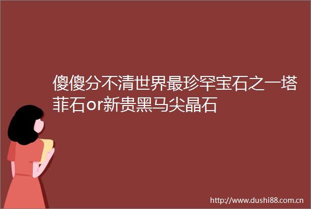 傻傻分不清世界最珍罕宝石之一塔菲石or新贵黑马尖晶石