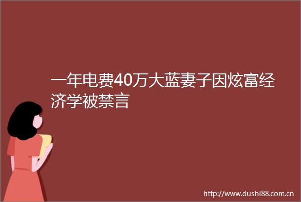 一年电费40万大蓝妻子因炫富经济学被禁言