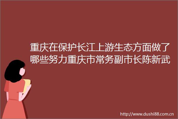 重庆在保护长江上游生态方面做了哪些努力重庆市常务副市长陈新武答每经坚持全面治水治气治土连续6年没有重污染天气