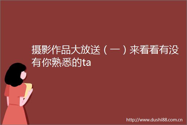 摄影作品大放送（一）来看看有没有你熟悉的ta