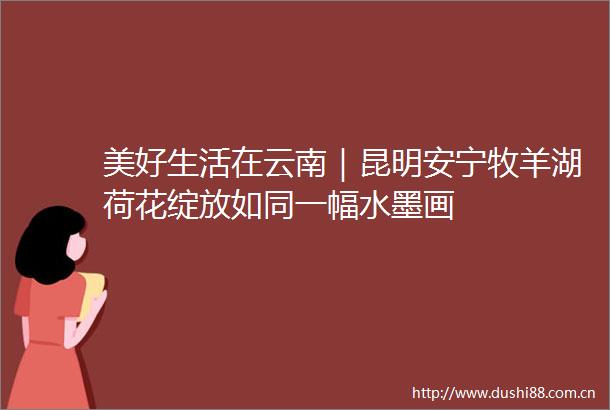 美好生活在云南｜昆明安宁牧羊湖荷花绽放如同一幅水墨画
