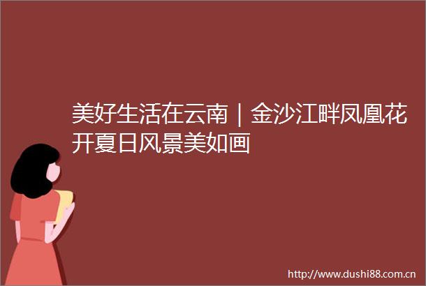 美好生活在云南｜金沙江畔凤凰花开夏日风景美如画