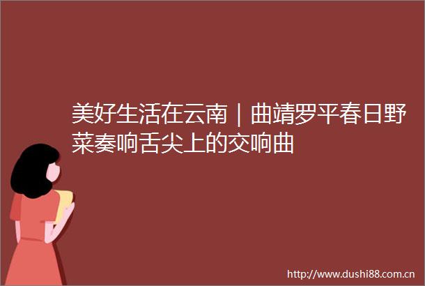 美好生活在云南｜曲靖罗平春日野菜奏响舌尖上的交响曲