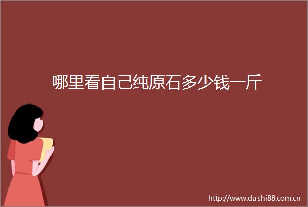 哪里看自己纯原石多少钱一斤