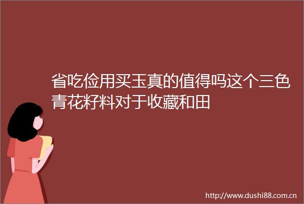 省吃俭用买玉真的值得吗这个三色青花籽料对于收藏和田