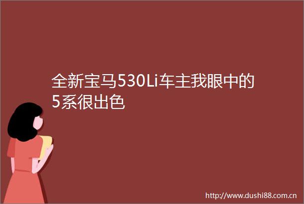 全新宝马530Li车主我眼中的5系很出色