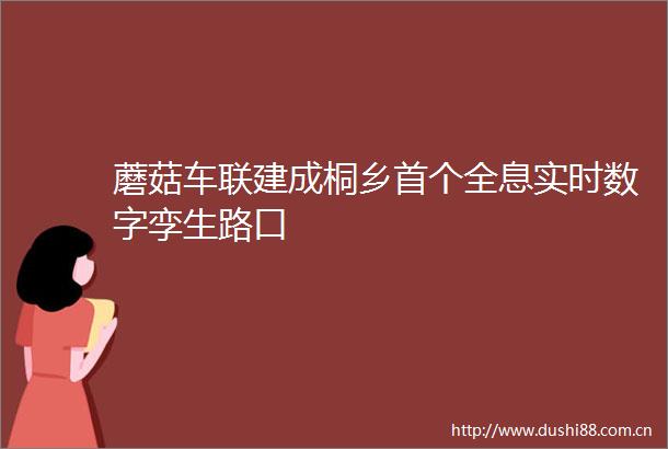 蘑菇车联建成桐乡首个全息实时数字孪生路口